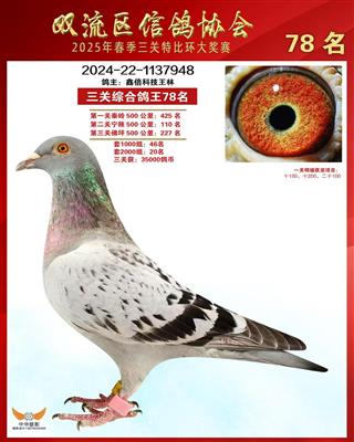 2025괺pرȭh(hun)@(jing)