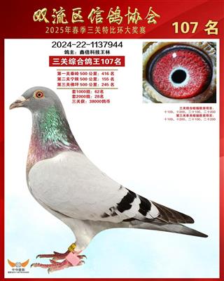 2025괺pرȭh(hun)@(jing)