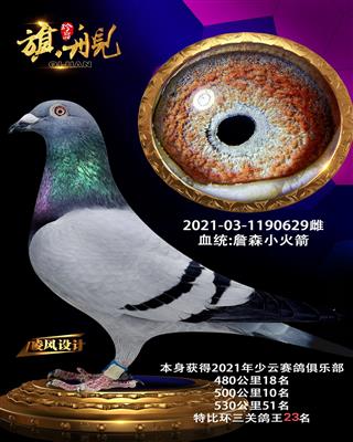 629