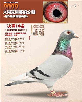 2022ͬ蹫Qِ14