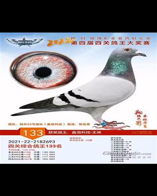 2022괺ĴI(y)㘷(l)P(gun)(jing)