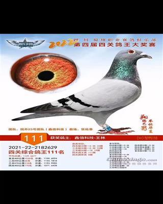 2022괺ĴI(y)㘷(l)P(gun)(jing)