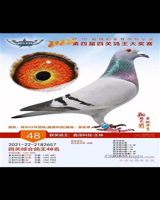 2022괺ĴI(y)㘷(l)P(gun)(jing)