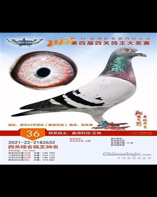 2022괺ĴI(y)㘷(l)P(gun)(jing)