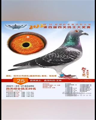 2022괺ĴI(y)㘷(l)P(gun)(jing)