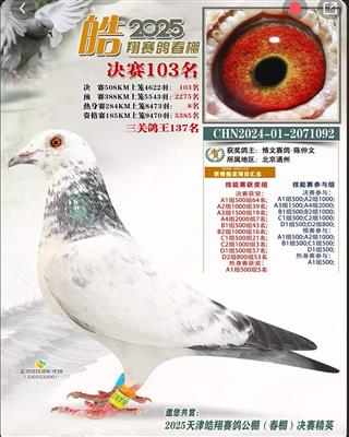 白马公主