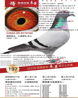 R4163