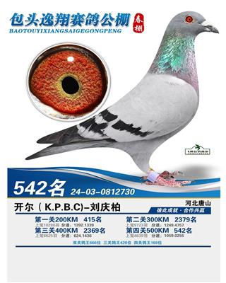25괺^Qِ542