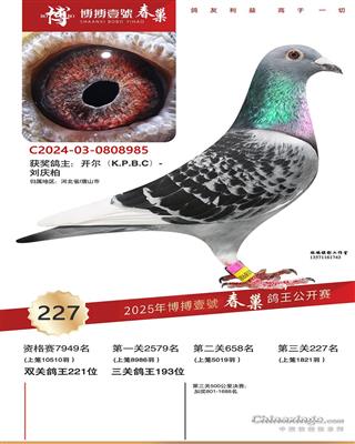 25괺Ҽ̖(ho)Qِ227