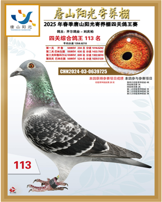 25괺ɽꖹB(yng)PC113