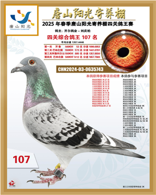 25괺ɽꖹB(yng)P(gun)C107