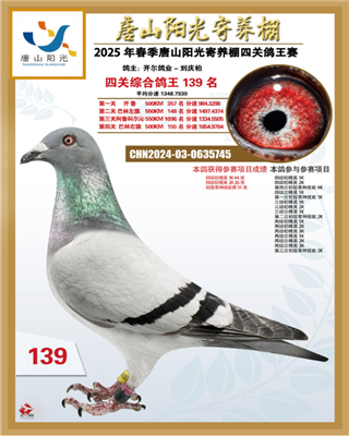 25괺ɽꖹB(yng)P(gun)C139