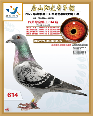 25괺ɽꖹB(yng)P(gun)C614