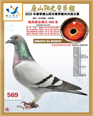 25괺ɽꖹB(yng)P(gun)C569