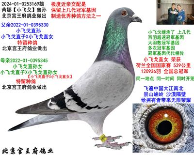 芮娜【小飞戈】曾孙