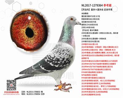 【齐达内】直孙×直孙女 近亲作育