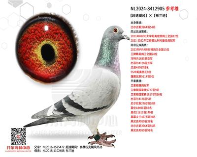 ZL(fng)mϡ