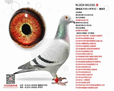 ZL(fng)ֱ090_ƠZL(fng)O