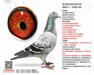 【詹姆士】×【布鲁瓦小姐】