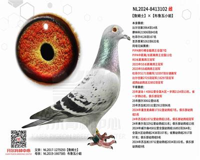 【詹姆士】×【布鲁瓦小姐】