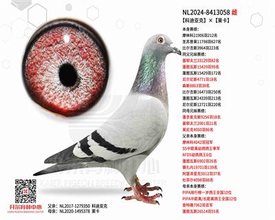 【科迪亚克】×【莱卡】