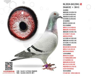 【科迪亚克】×【莱卡】