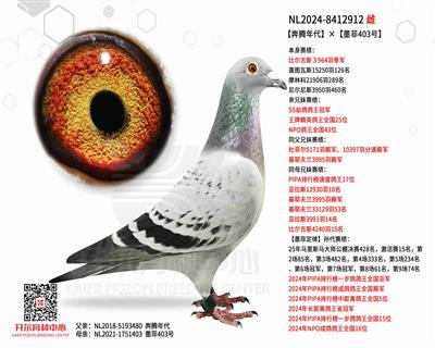 【奔腾年代】×【墨菲403号】