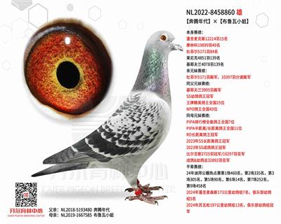【奔腾年代】×【布鲁瓦小姐】