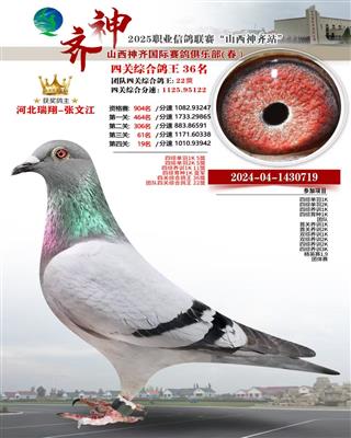 四关综合36