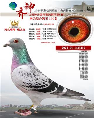 四关综合100