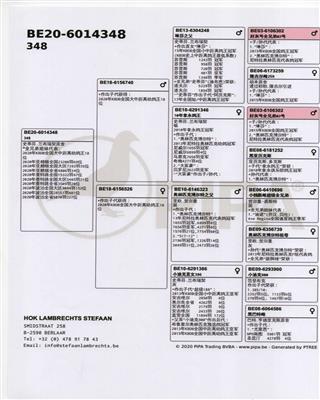 Ѫy(tng)