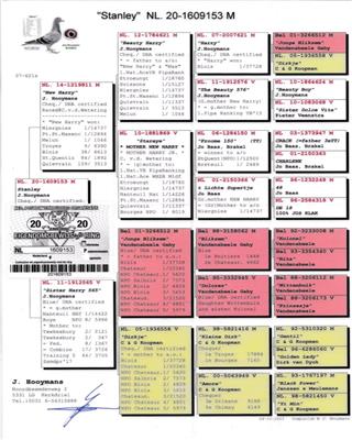 Ѫy(tng)