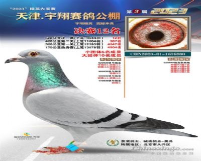 奶酪12名