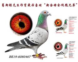 HƬ