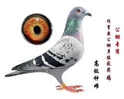 ĸHƬ