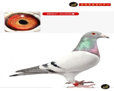 ߂˹
