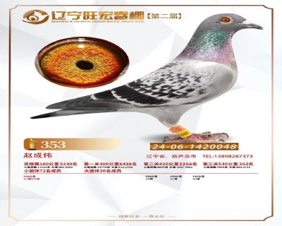 괺Qِ353