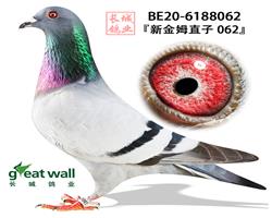 HƬ