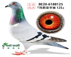 ĸHƬ