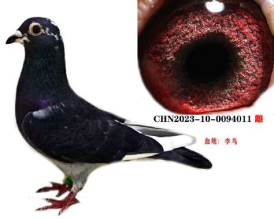 a9cdf9ab2c43430569dbc99802b1049