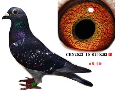 e457344d1c8c99067200e99be2409ad