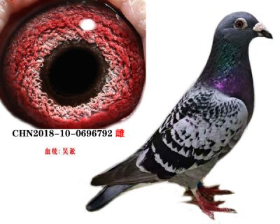 c0604b2ca4263d859f5933213969e41
