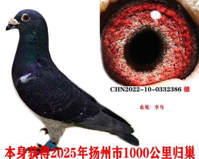 e8f55bc05195ea97d09ad2d7dc90d8b