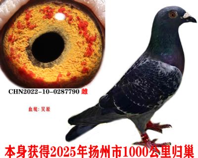 2eddef15fb6be6ccd75c1a468e03c39