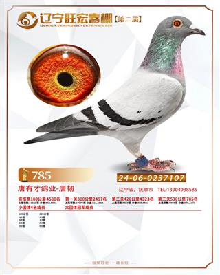 25괺Qِ785