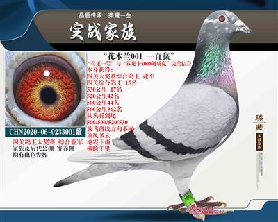 Ῠ5000P(gun)(jing)ِ܊