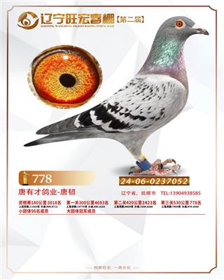 25괺Qِ778