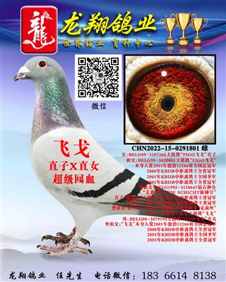 wꡱHOŮ