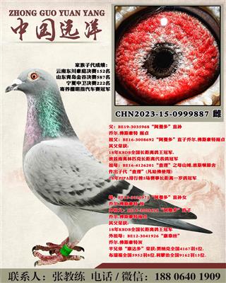 겻ɿQ