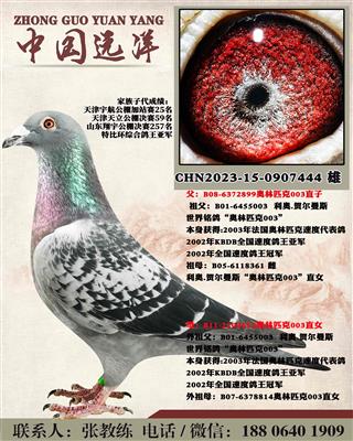 兩年不出成績包換